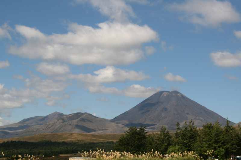 Nieuw-Zeeland 2011 - 0875
